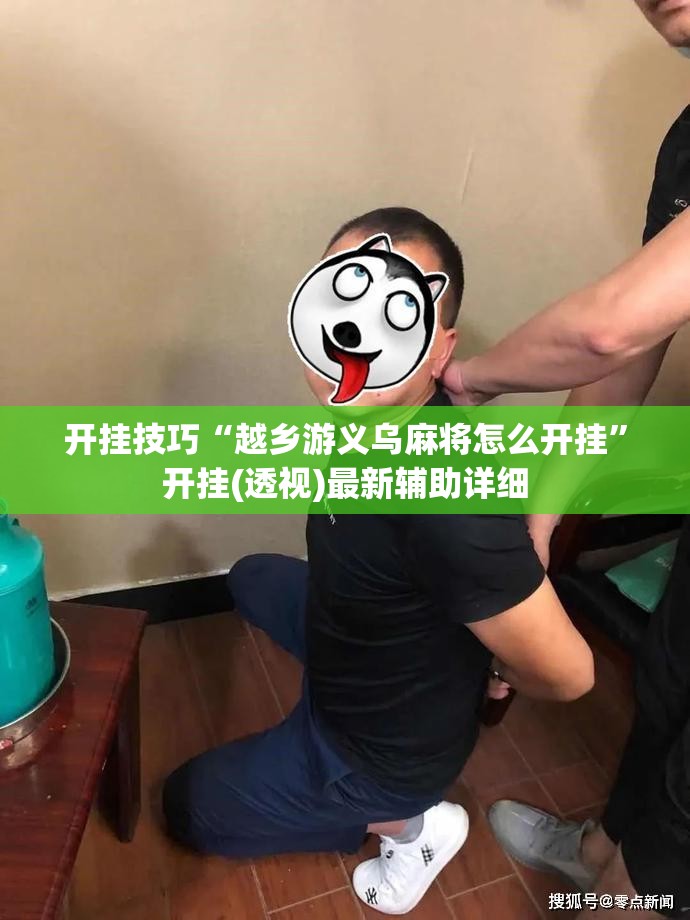 开挂技巧“越乡游义乌麻将怎么开挂”开挂(透视)最新辅助详细