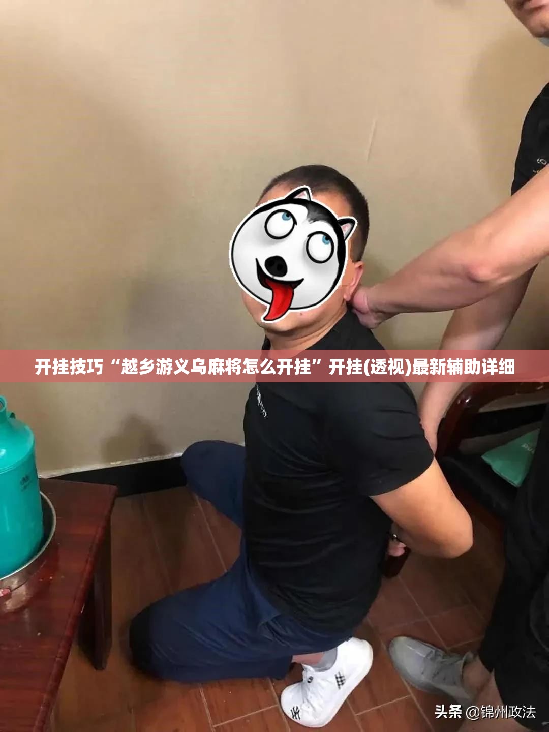 开挂技巧“越乡游义乌麻将怎么开挂	”开挂(透视)最新辅助详细