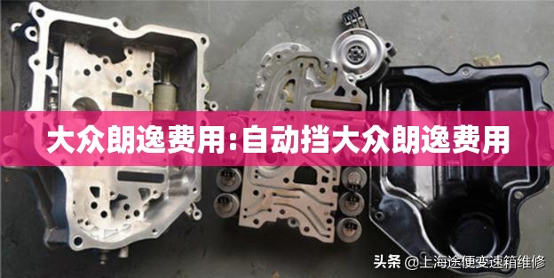 大众朗逸费用:自动挡大众朗逸费用 大众朗逸费用:自动挡大众朗逸费用