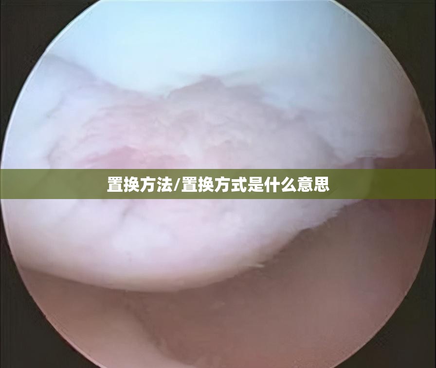 置换方法/置换方式是什么意思