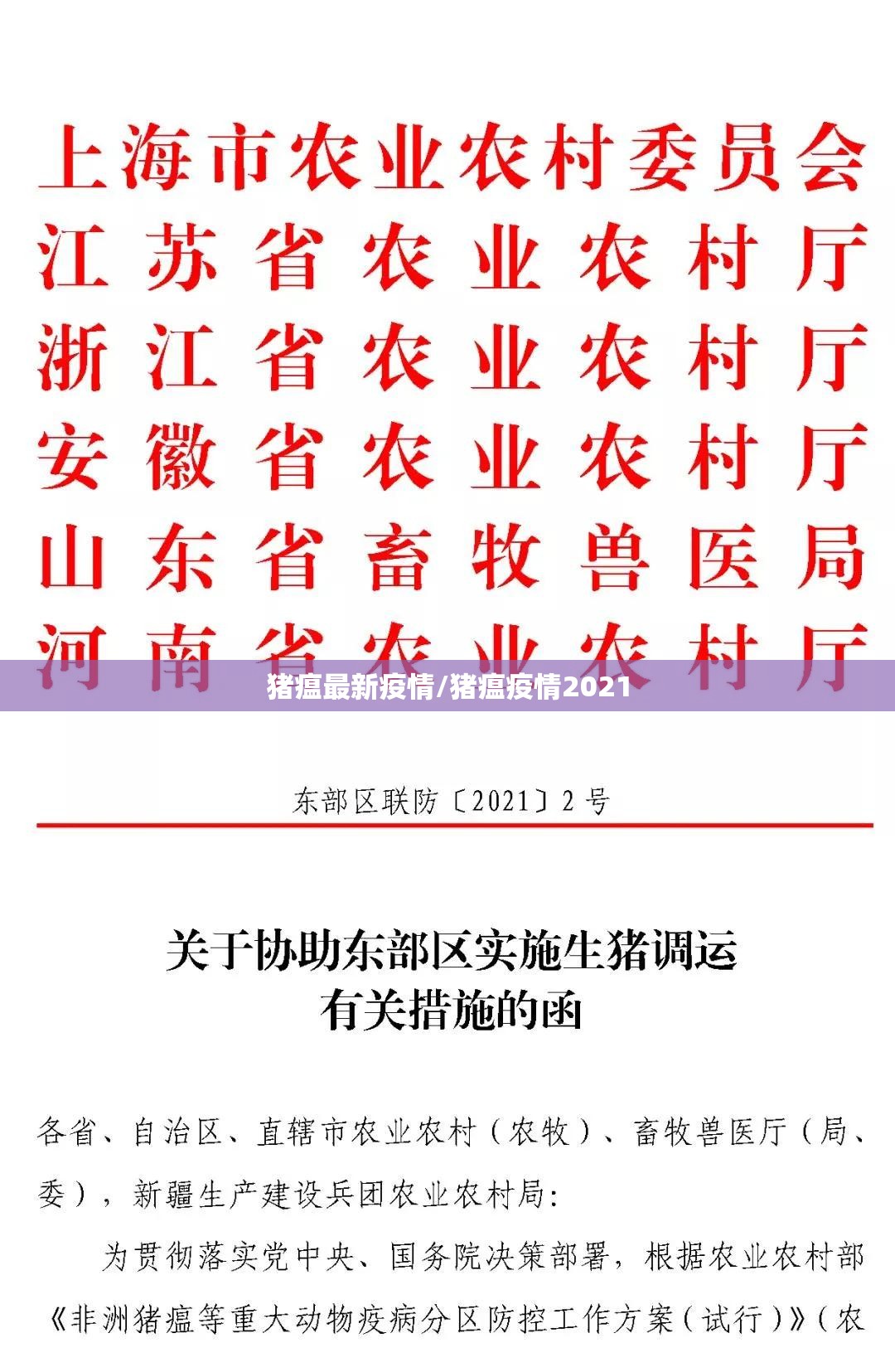 猪瘟最新疫情/猪瘟疫情2021