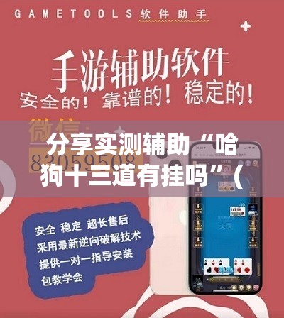 分享实测辅助“哈狗十三道有挂吗	”(透视挂)辅助下载教程