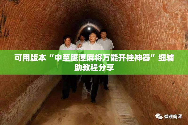 可用版本“中至鹰潭麻将万能开挂神器”细辅助教程分享