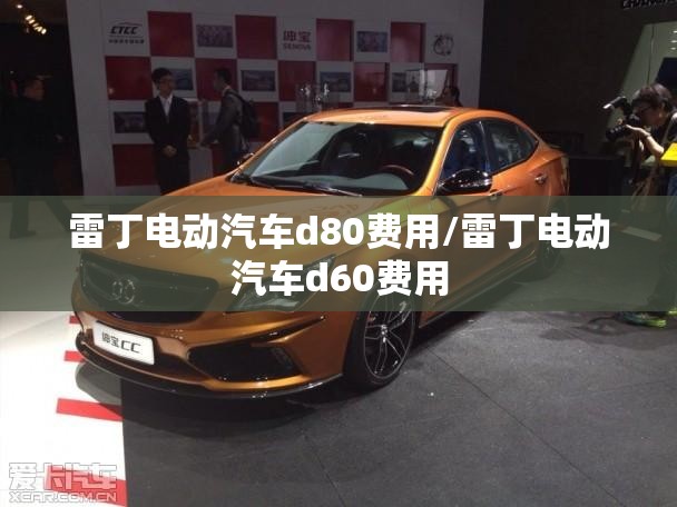 雷丁电动汽车d80费用/雷丁电动汽车d60费用 雷丁电动汽车d80费用/雷丁电动汽车d60费用
