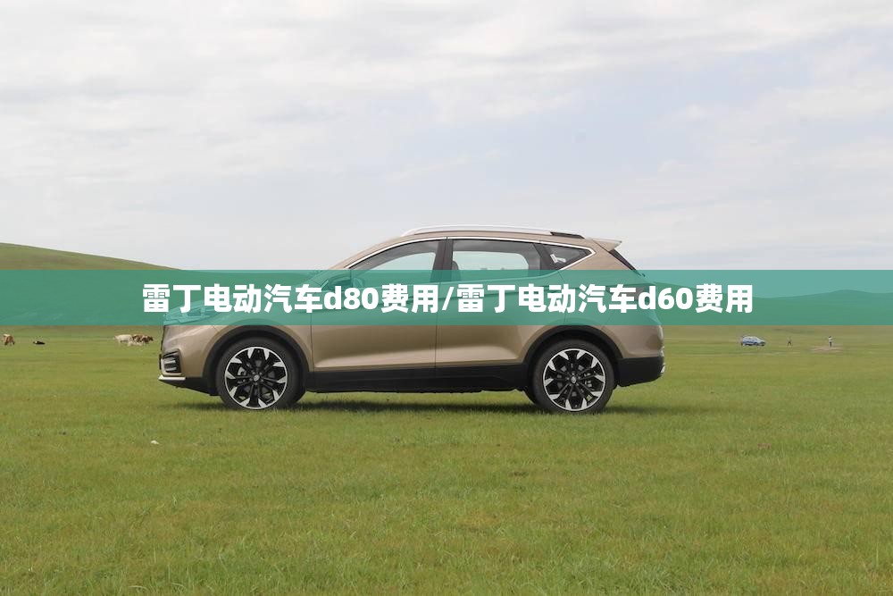 雷丁电动汽车d80费用/雷丁电动汽车d60费用 雷丁电动汽车d80费用/雷丁电动汽车d60费用
