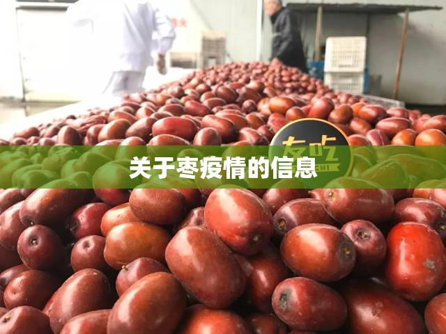 关于枣疫情的信息 关于枣疫情的信息