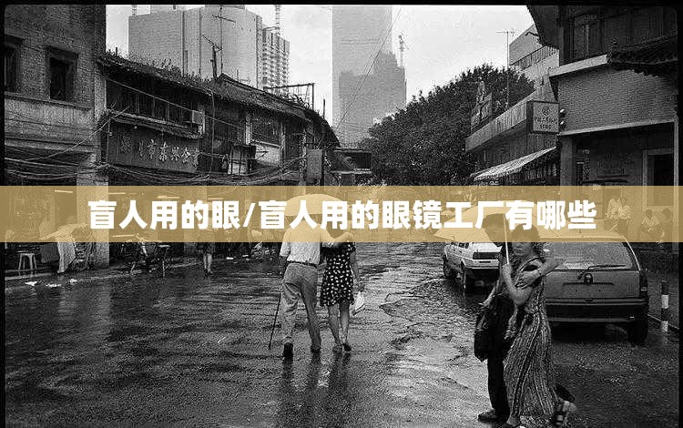 盲人用的眼/盲人用的眼镜工厂有哪些
