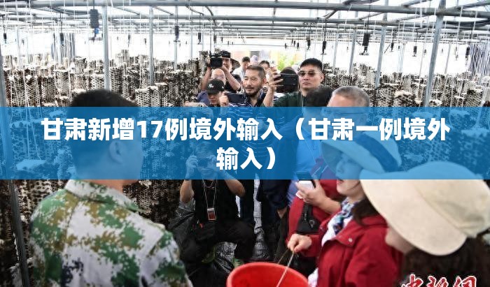 甘肃新增17例境外输入(甘肃一例境外输入) 甘肃新增17例境外输入(甘肃一例境外输入)