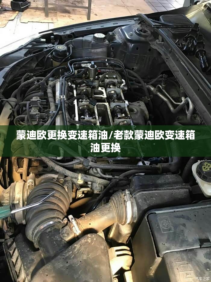 蒙迪欧更换变速箱油/老款蒙迪欧变速箱油更换 蒙迪欧更换变速箱油/老款蒙迪欧变速箱油更换