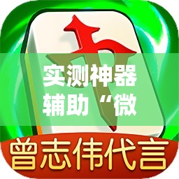 实测神器辅助“微乐陕西麻将小程序必赢神器免费安装	”其实确实有挂
