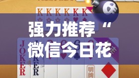 强力推荐“微信今日花牌到底有没有挂”科技辅助神器手机版