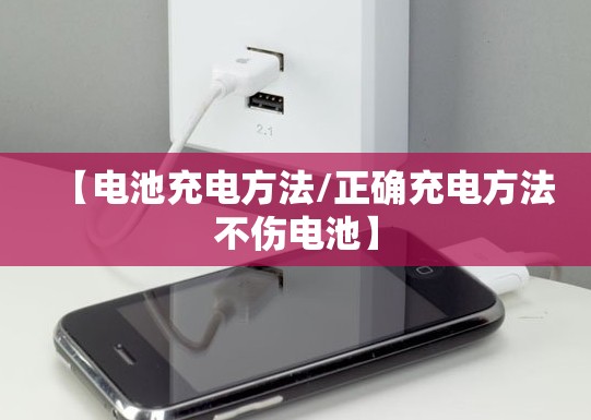 【电池充电方法/正确充电方法不伤电池】 【电池充电方法/正确充电方法不伤电池】