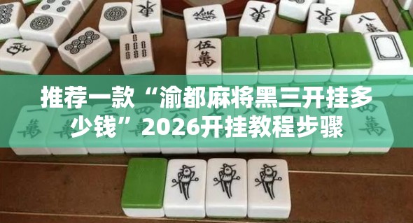 推荐一款“渝都麻将黑三开挂多少钱”2026开挂教程步骤