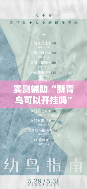 实测辅助“新青鸟可以开挂吗”(辅助神器)开挂详细教程