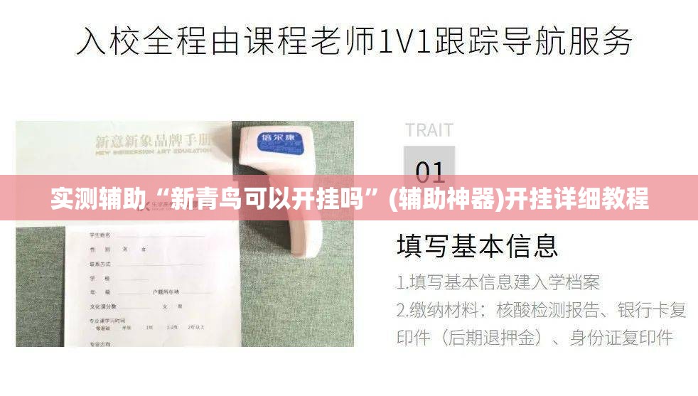 实测辅助“新青鸟可以开挂吗”(辅助神器)开挂详细教程