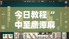 今日教程“中至鹰潭麻将怎么装开挂”原来可以开挂