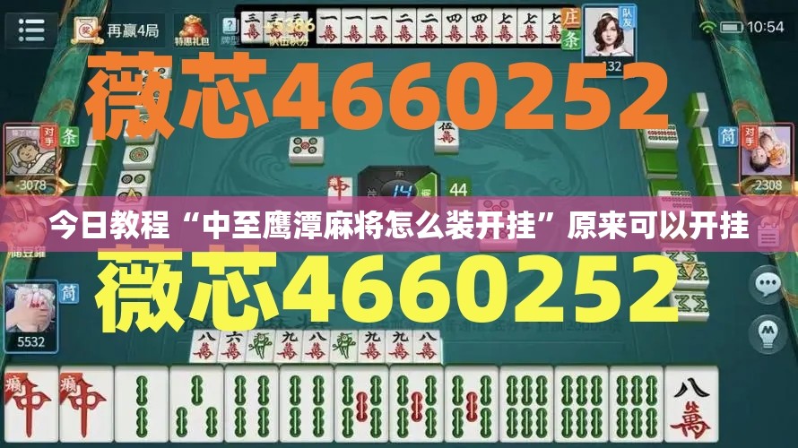 今日教程“中至鹰潭麻将怎么装开挂”原来可以开挂