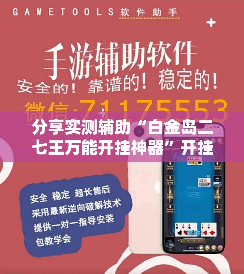 分享实测辅助“白金岛二七王万能开挂神器”开挂辅助脚本+详细开挂安装教程