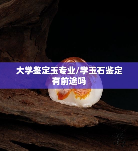 大学鉴定玉专业/学玉石鉴定有前途吗 大学鉴定玉专业/学玉石鉴定有前途吗