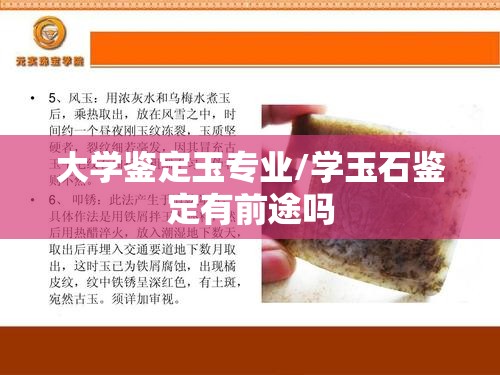 大学鉴定玉专业/学玉石鉴定有前途吗 大学鉴定玉专业/学玉石鉴定有前途吗