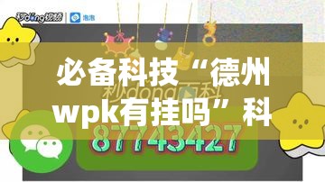 必备科技“德州wpk有挂吗”科技辅助神器手机版