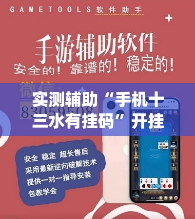 实测辅助“手机十三水有挂码”开挂(透视)辅助教程