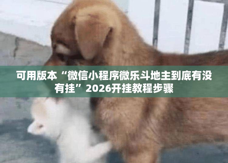可用版本“微信小程序微乐斗地主到底有没有挂	”2026开挂教程步骤