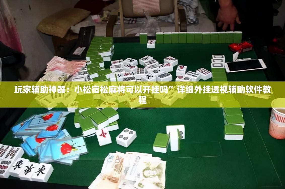 玩家辅助神器：小松宿松麻将可以开挂吗”详细外挂透视辅助软件教程
