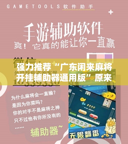 强力推荐“广东闲来麻将开挂辅助器通用版”原来可以开挂