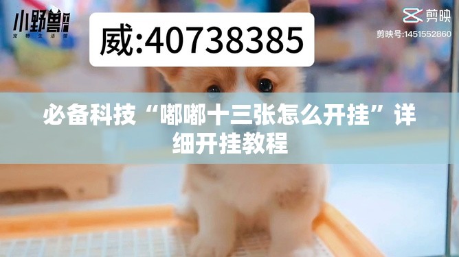 必备科技“嘟嘟十三张怎么开挂”详细开挂教程