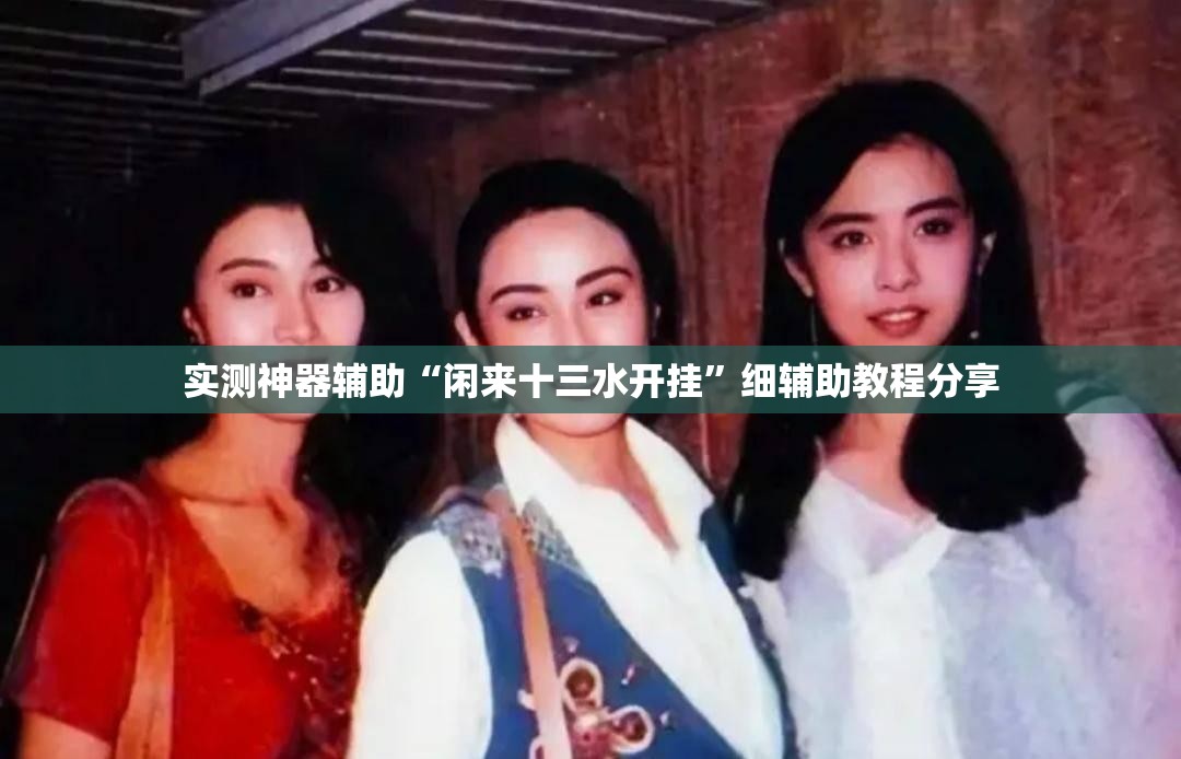 实测神器辅助“闲来十三水开挂”细辅助教程分享