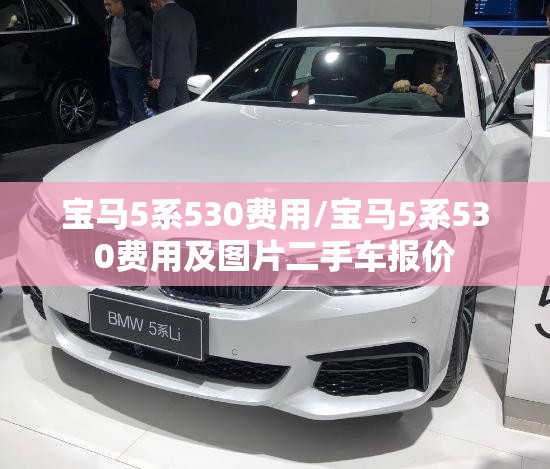 宝马5系530费用/宝马5系530费用及图片二手车报价 宝马5系530费用/宝马5系530费用及图片二手车报价