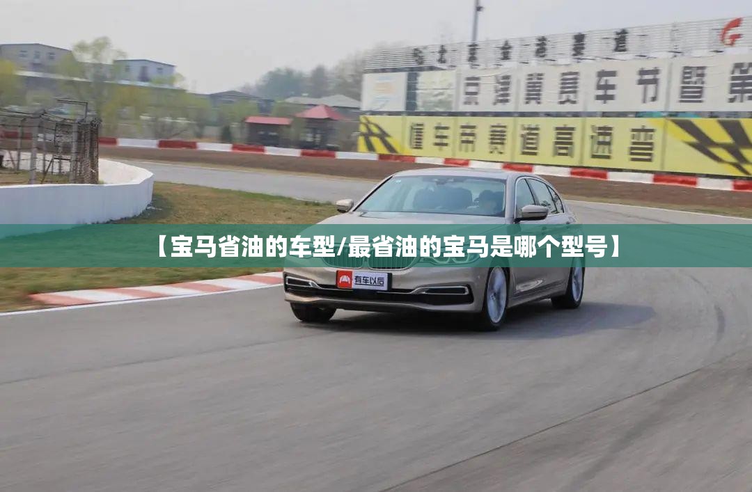 【宝马省油的车型/最省油的宝马是哪个型号】