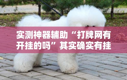 实测神器辅助“打牌网有开挂的吗”其实确实有挂
