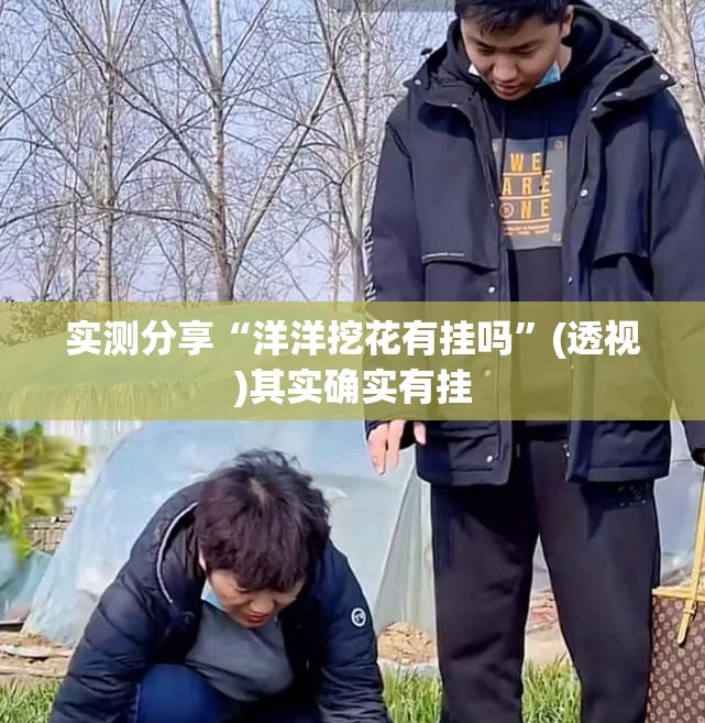 实测分享“洋洋挖花有挂吗”(透视)其实确实有挂