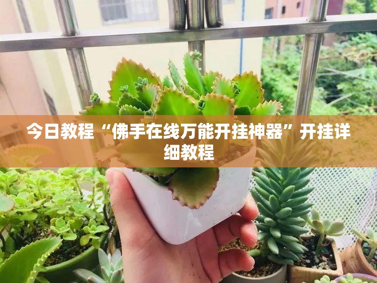 今日教程“佛手在线万能开挂神器”开挂详细教程