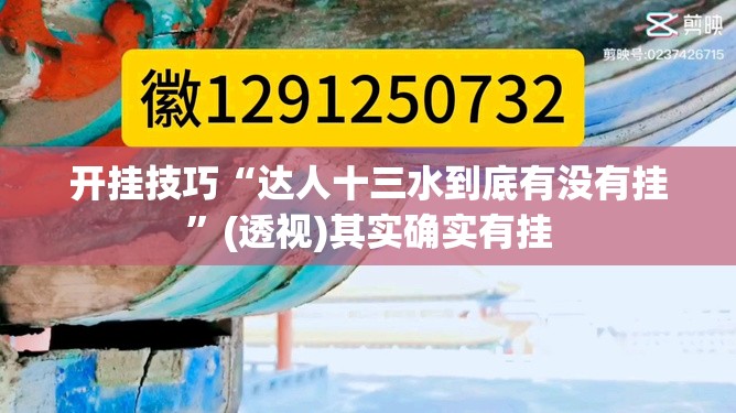 开挂技巧“达人十三水到底有没有挂”(透视)其实确实有挂