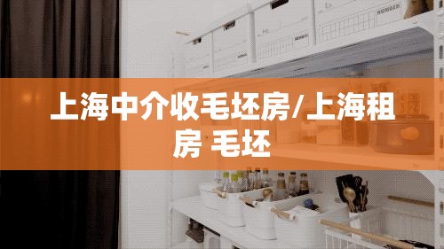 上海中介收毛坯房/上海租房 毛坯 上海中介收毛坯房/上海租房 毛坯