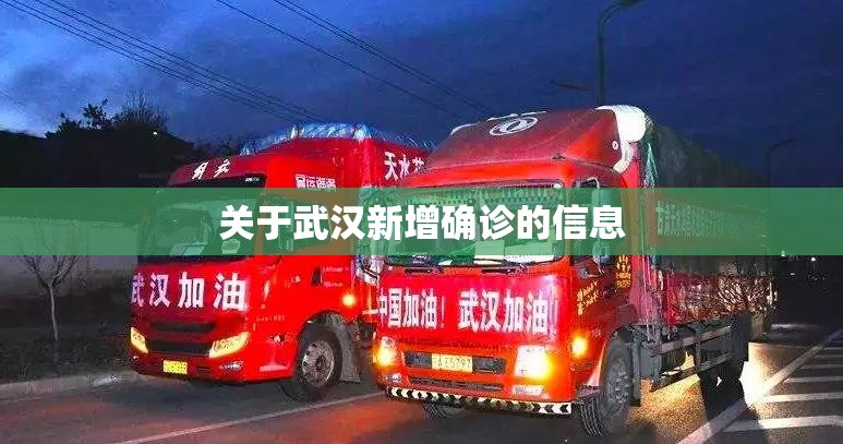 关于武汉新增确诊的信息 关于武汉新增确诊的信息