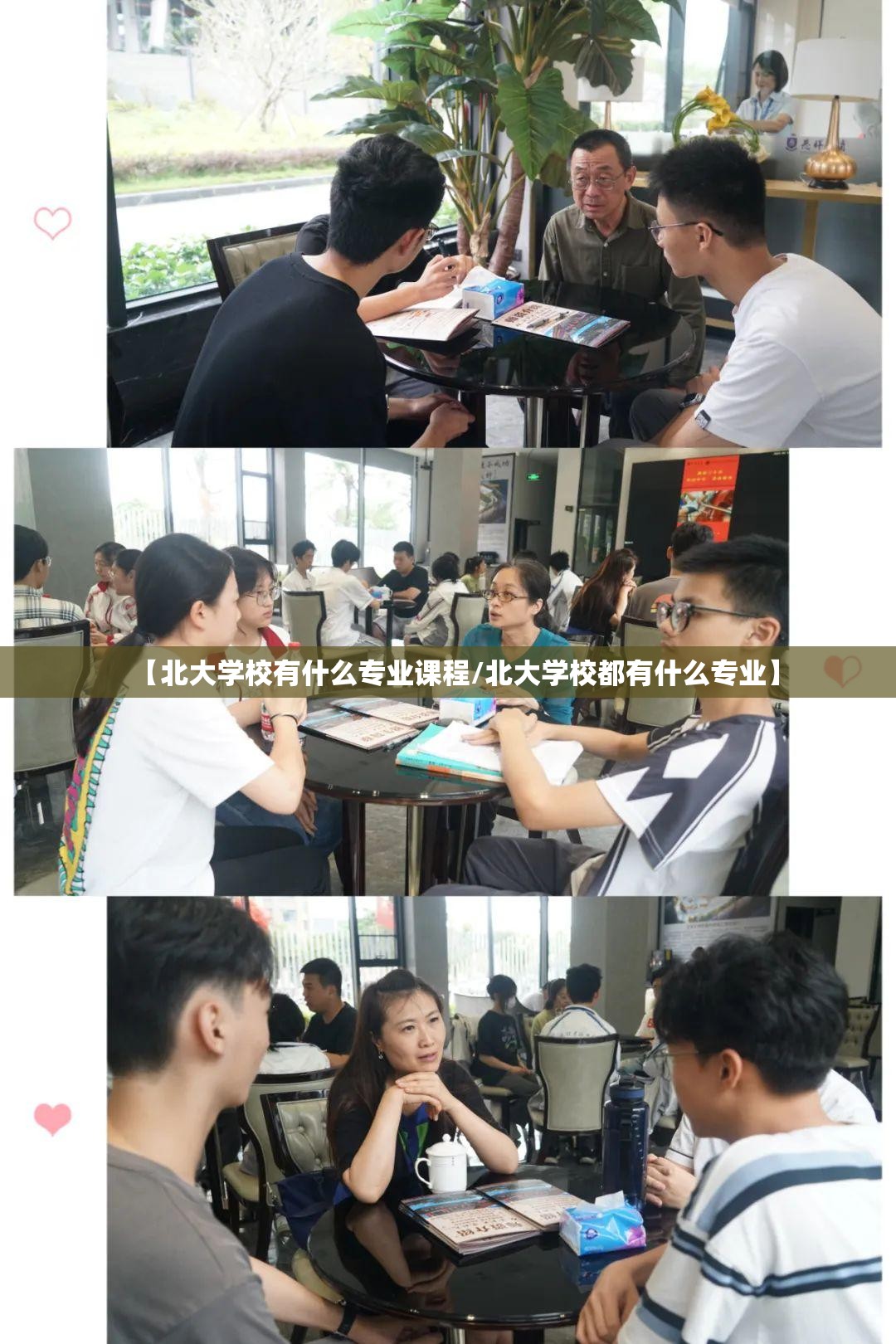【北大学校有什么专业课程/北大学校都有什么专业】 【北大学校有什么专业课程/北大学校都有什么专业】