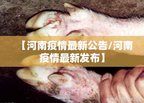 【河南疫情最新公告/河南疫情最新发布】