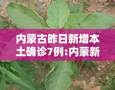 内蒙古昨日新增本土确诊7例:内蒙新增确诊病例今天 内蒙古昨日新增本土确诊7例:内蒙新增确诊病例今天