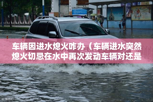 车辆因进水熄火咋办(车辆进水突然熄火切忌在水中再次发动车辆对还是错) 车辆因进水熄火咋办(车辆进水突然熄火切忌在水中再次发动车辆对还是错)