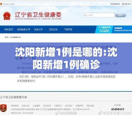 沈阳新增1例是哪的:沈阳新增1例确诊