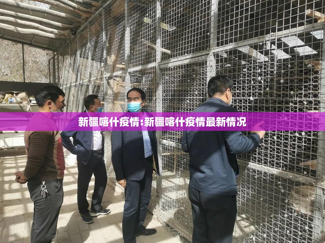 新疆喀什疫情:新疆喀什疫情最新情况