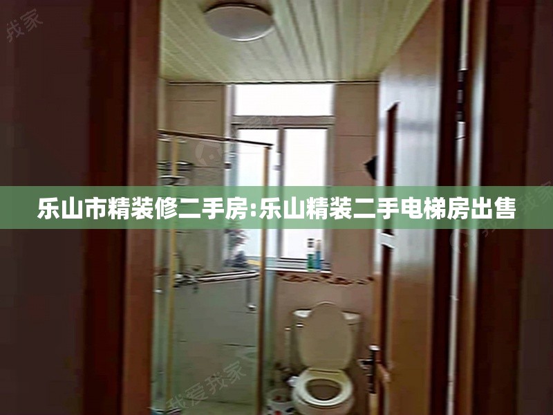 乐山市精装修二手房:乐山精装二手电梯房出售