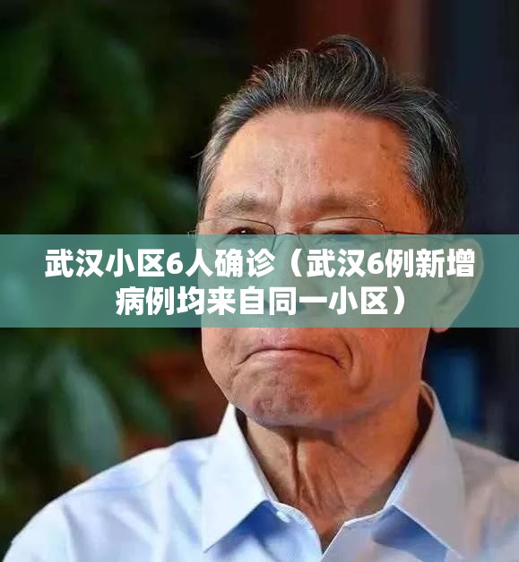 武汉小区6人确诊(武汉6例新增病例均来自同一小区) 武汉小区6人确诊(武汉6例新增病例均来自同一小区)