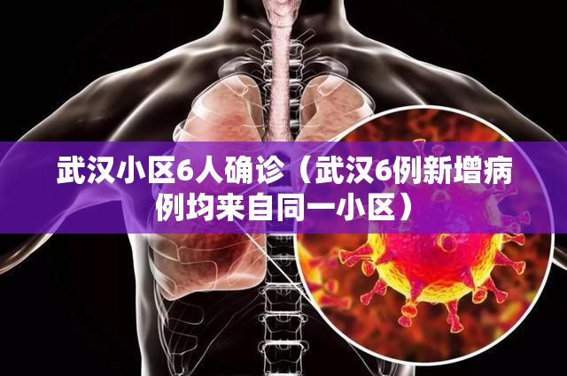武汉小区6人确诊(武汉6例新增病例均来自同一小区) 武汉小区6人确诊(武汉6例新增病例均来自同一小区)