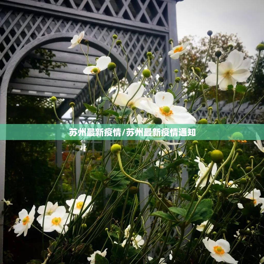 苏州最新疫情/苏州最新疫情通知 苏州最新疫情/苏州最新疫情通知