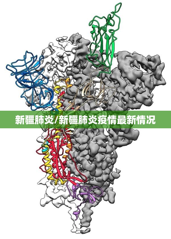 新疆肺炎/新疆肺炎疫情最新情况 新疆肺炎/新疆肺炎疫情最新情况